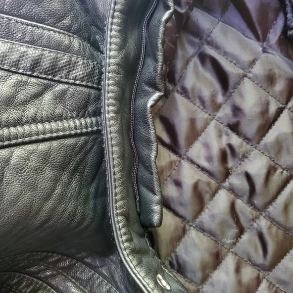 Buckle Black - Picture 9 of 13